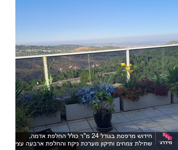 עציצים עם פרחים צבעוניים על מרפסת